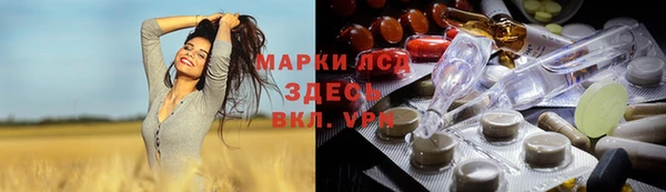 шишки Алзамай