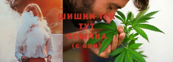 шишки Алзамай