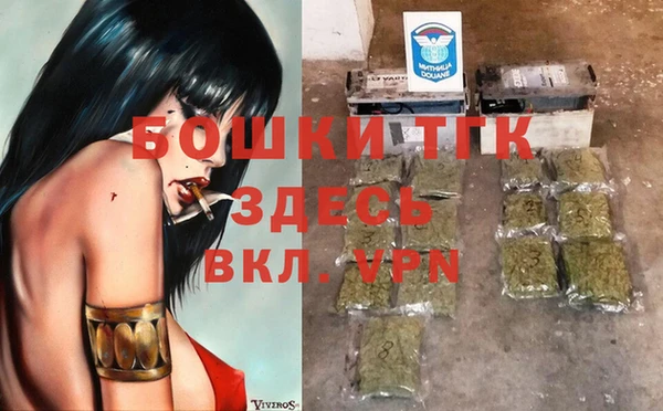 шишки Алзамай