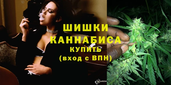 шишки Алзамай