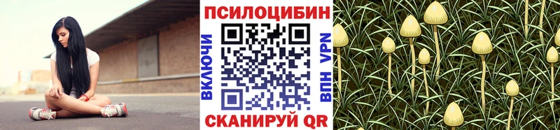 Псилоцибиновые грибы мухоморы Грязовец